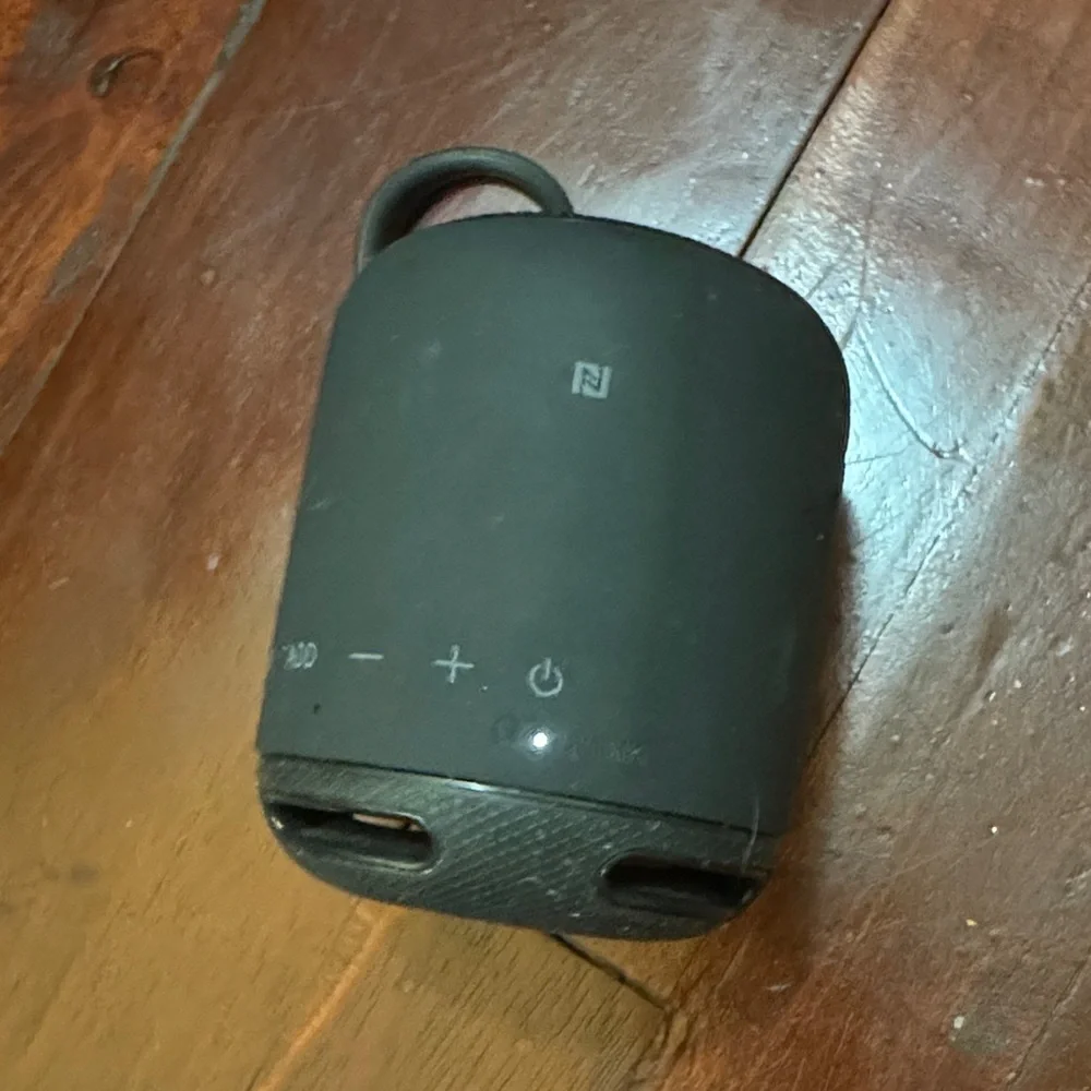 Sony black Portable Speaker